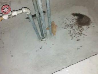 溧阳卫生间测漏水价格明细